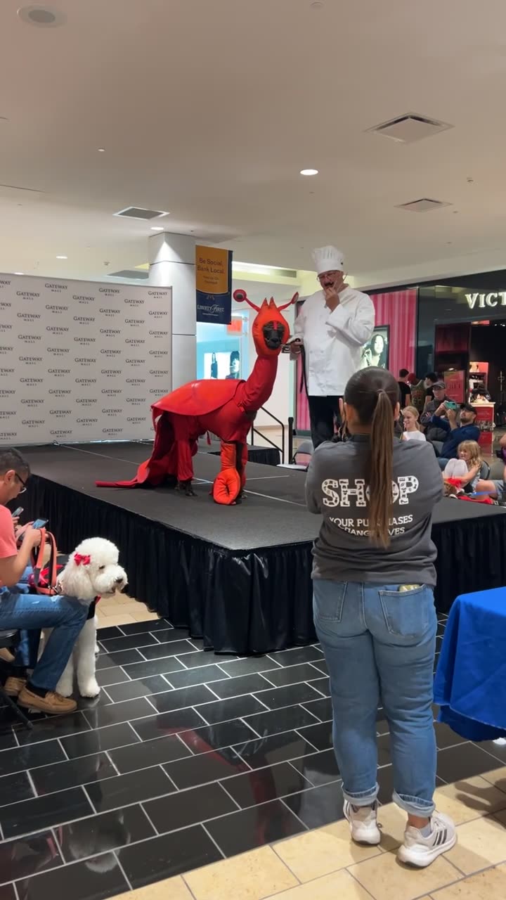 Llama Dressed as Lobster for Costume Contest
