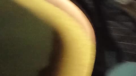 VID 20241108 054958