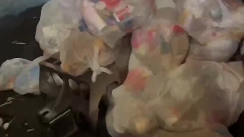 Diversity enrichment from Africa to Italy