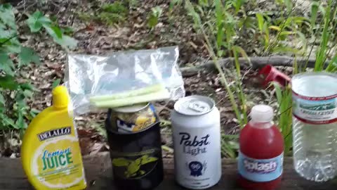 Chelada in the Woods