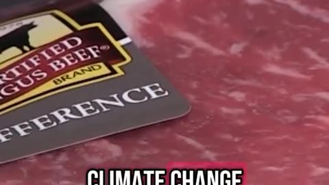 Denver, Colorado, launched a $3 million campaign called “Eat Less Meat,” paid for by taxpayers