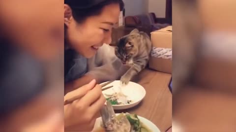 Funny animal videos | Cats and dogs 2025