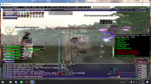 Playing Final Fantasy XI Online