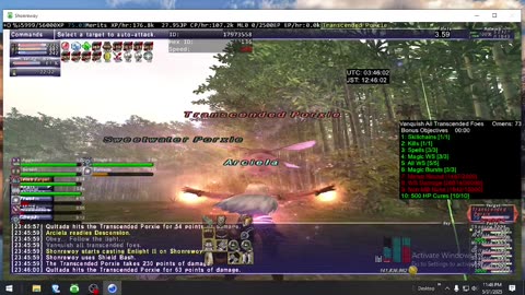 Playing Final Fantasy XI Online