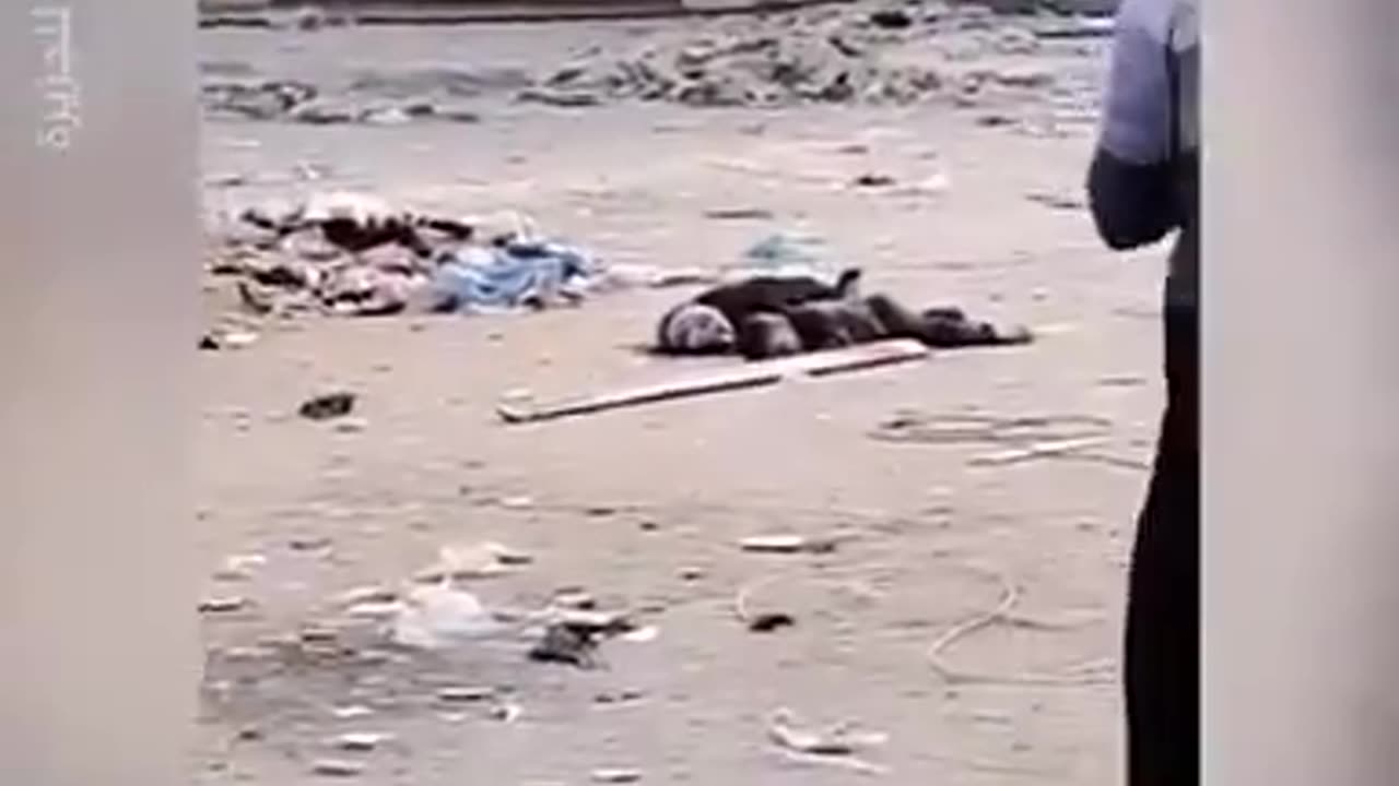 Never Forget Jews Sniped Mother And Child