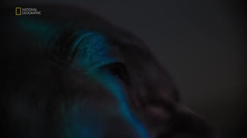 Inżynieryjne tragedie S01E01