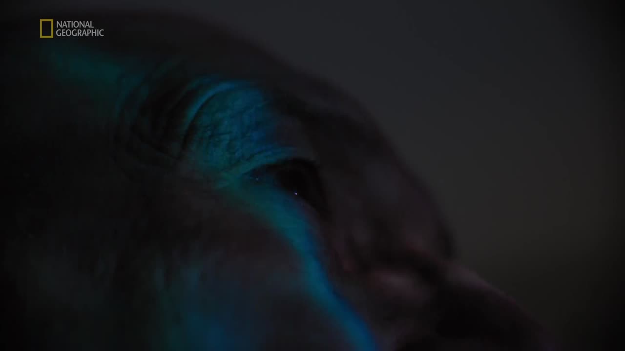 Inżynieryjne tragedie S01E01