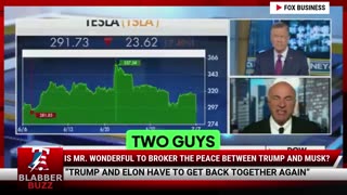 Is Mr. Wonderful To Broker The Peace Between Trump And Musk?