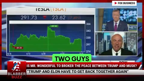 Is Mr. Wonderful To Broker The Peace Between Trump And Musk?