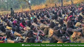 Gabaasa Tarkaanfii ONM-ABO Onkoloolessa 31-2025 itti dhiyaadhaa!