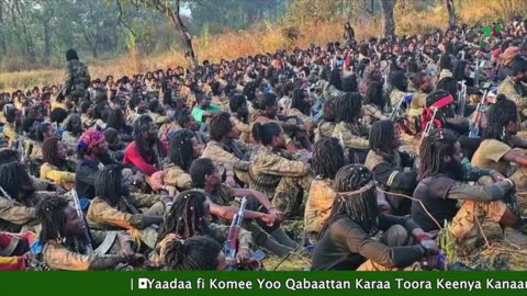 Gabaasa Tarkaanfii ONM-ABO Onkoloolessa 31-2025 itti dhiyaadhaa!