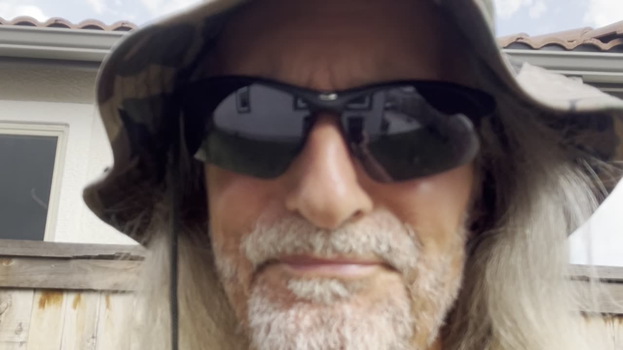 The Dog Days of Summer For the Deep State?......
