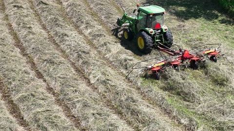 Hay Second Crop 2025