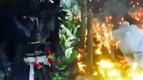Farewell to the monk (；人；) [Ghost of Tsushima]