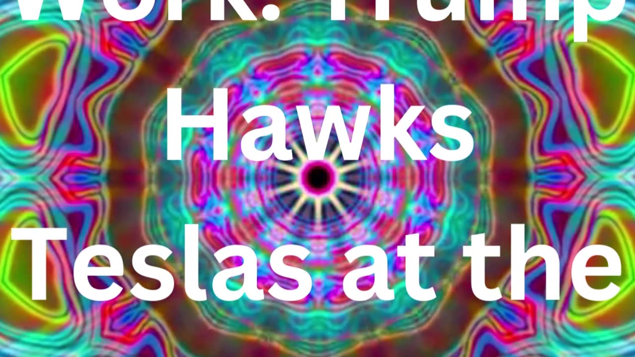 Taxpayer Dollars at Work Trump Hawks Teslas at the White House