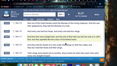 6/2/25 Rev 4:8-11 FATHER created all things for HIS pleasure. Do you pleasure HIM?
