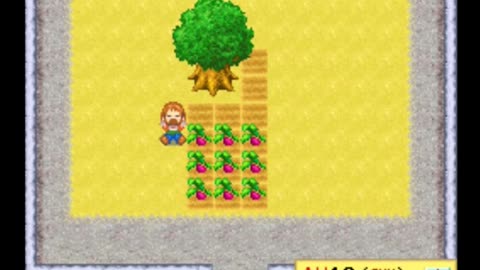 Harvest Moon DS Review Newbie's Perspective Part 3 Finale