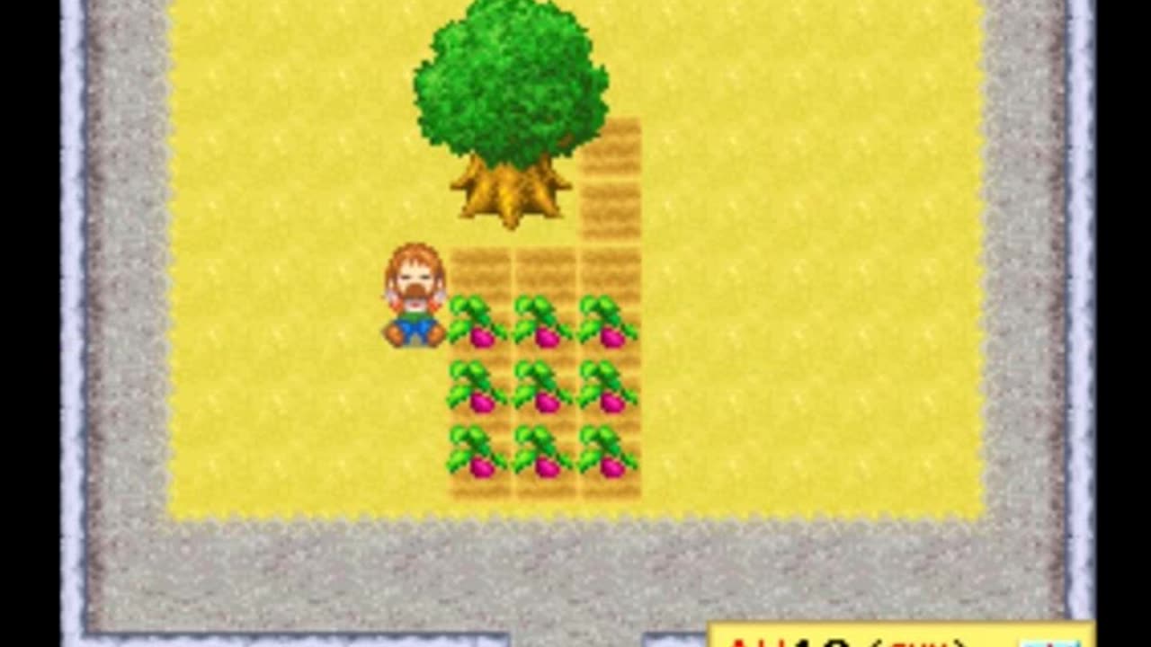 Harvest Moon DS Review Newbie's Perspective Part 3 Finale