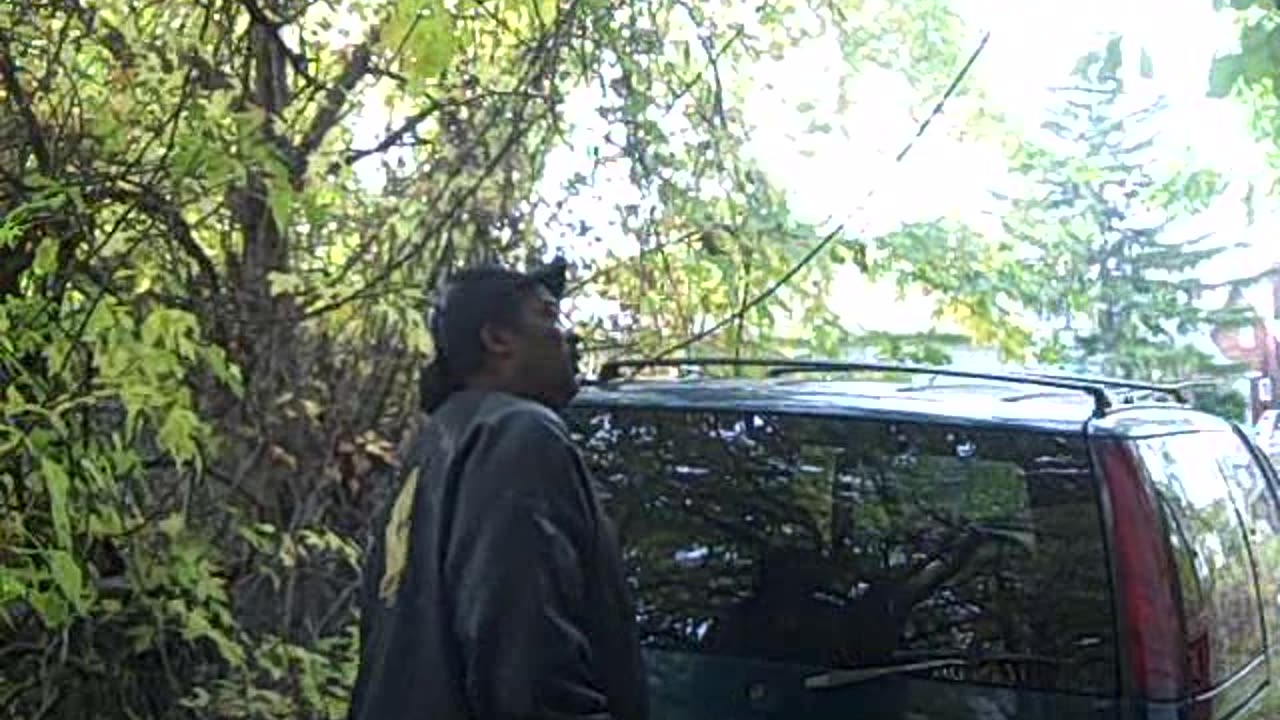 5241 PHILIP ST,,CRAZY GUY ON THESHEASHOW.COM