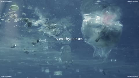 Pour La JournÃ©e Mondiale Des OcÃ©ans