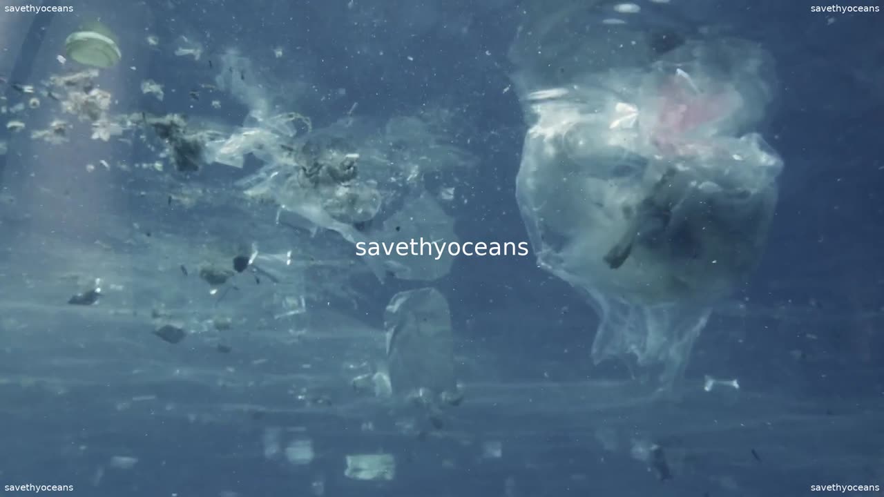 Pour La Journée Mondiale Des Océans