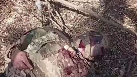 Russian Forces in the Pokrovks Direction