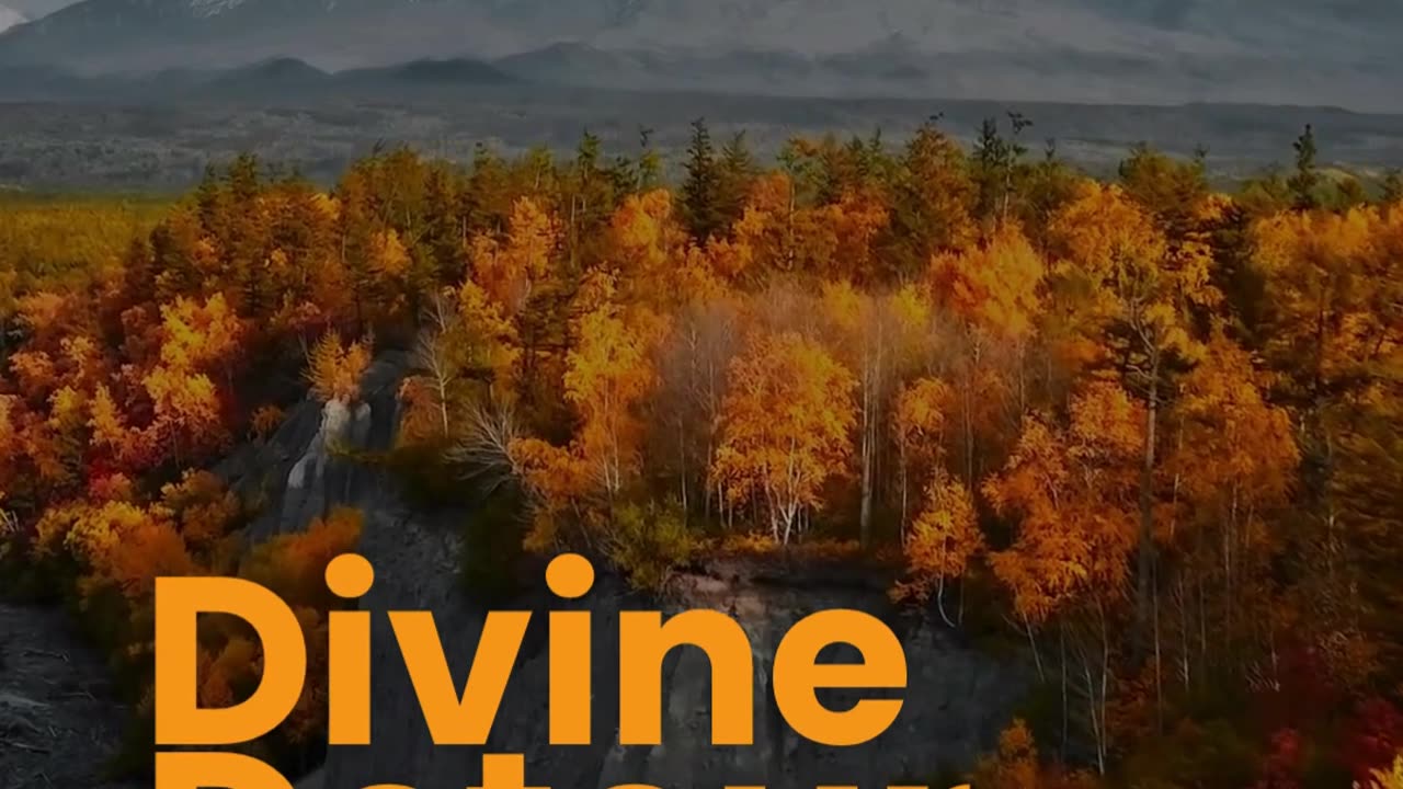 Devine Detour