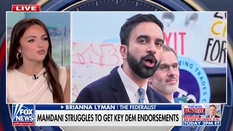 Lyman: Schumer And Jeffries Must Choose: America Or Mamdani