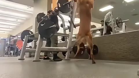 COPYING 🤣FRIDAY 2/6/26