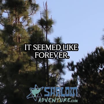 The Gift of Forgiveness: A Lesson from the Holocaust #Shorts #BarbaraZaremsky