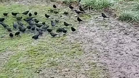 The meaning of life.