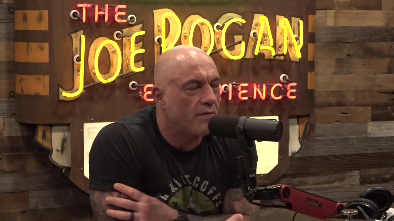 Hidden Ivermectin Data - Dr Mary Talley on JRE #ivermectin #monoclonalantibodies #safety #fda