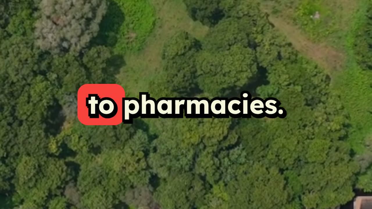 Nature's Healing Wisdom