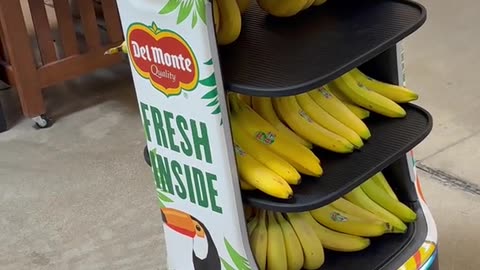 Robot Named Pineapple Selling Bananas