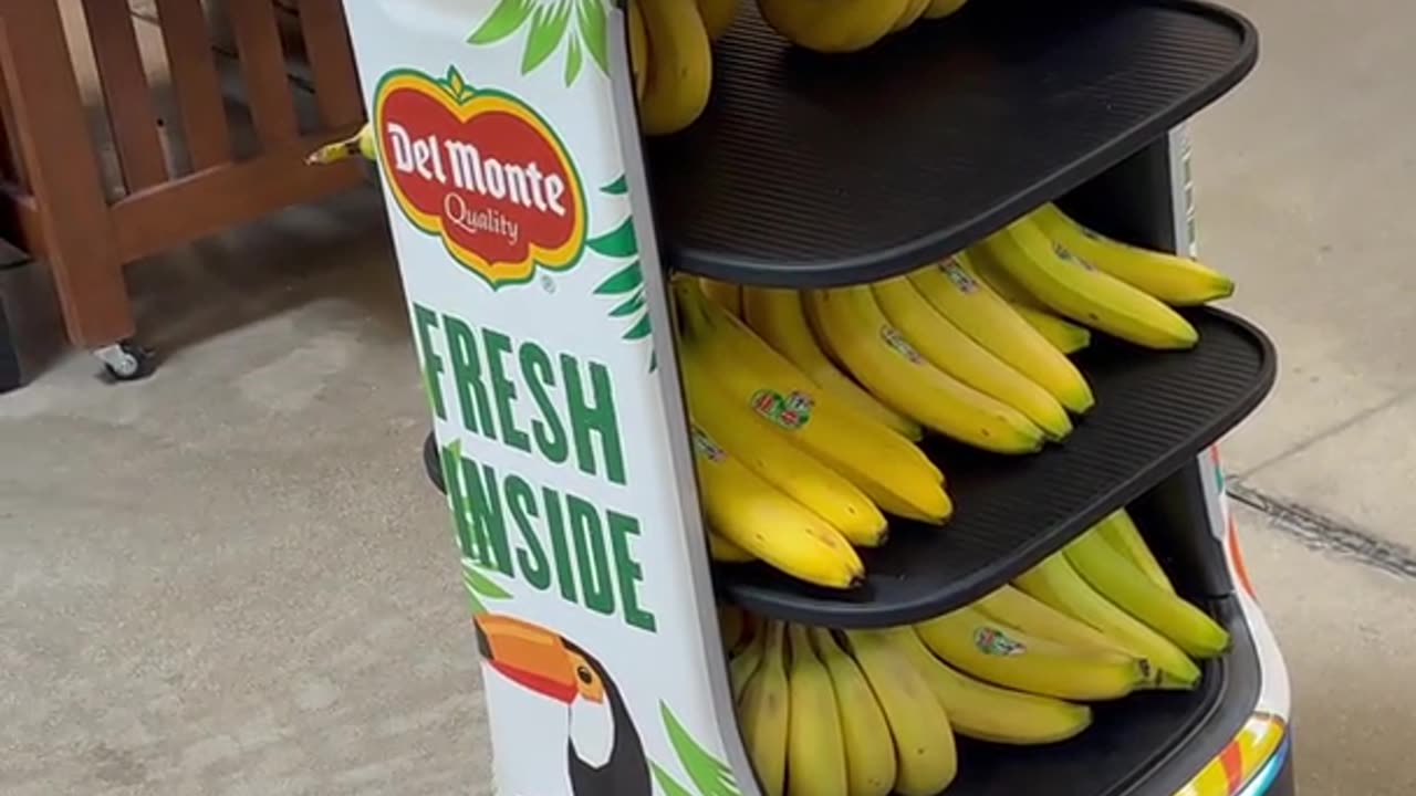 Robot Named Pineapple Selling Bananas