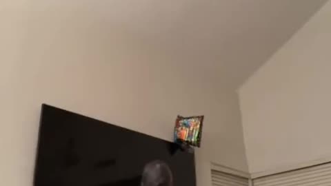 Viral 💯