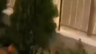 Heavy gunfire can be heard from the presidential palace in Damascus