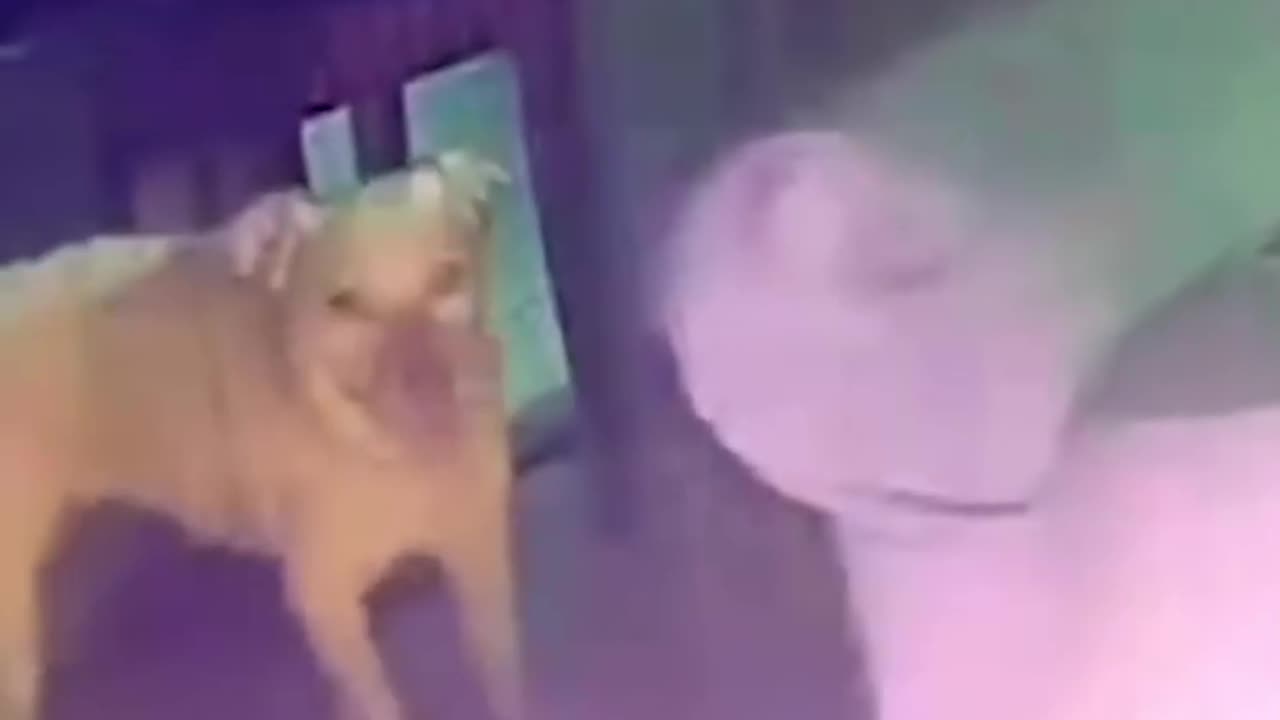 ⚠️ Portable Phone Chargers Can Be a Hidden Danger