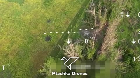 🚁💥 Ukraine Russia War | Ptashka Systems FPV Drone Shoots Down Russian FPV Drone | RCF
