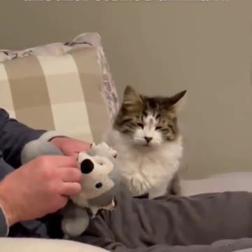 When dad has to fix another stuffed animal… 😅