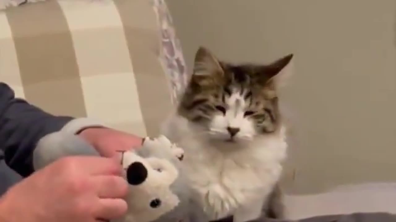 When dad has to fix another stuffed animal… 😅