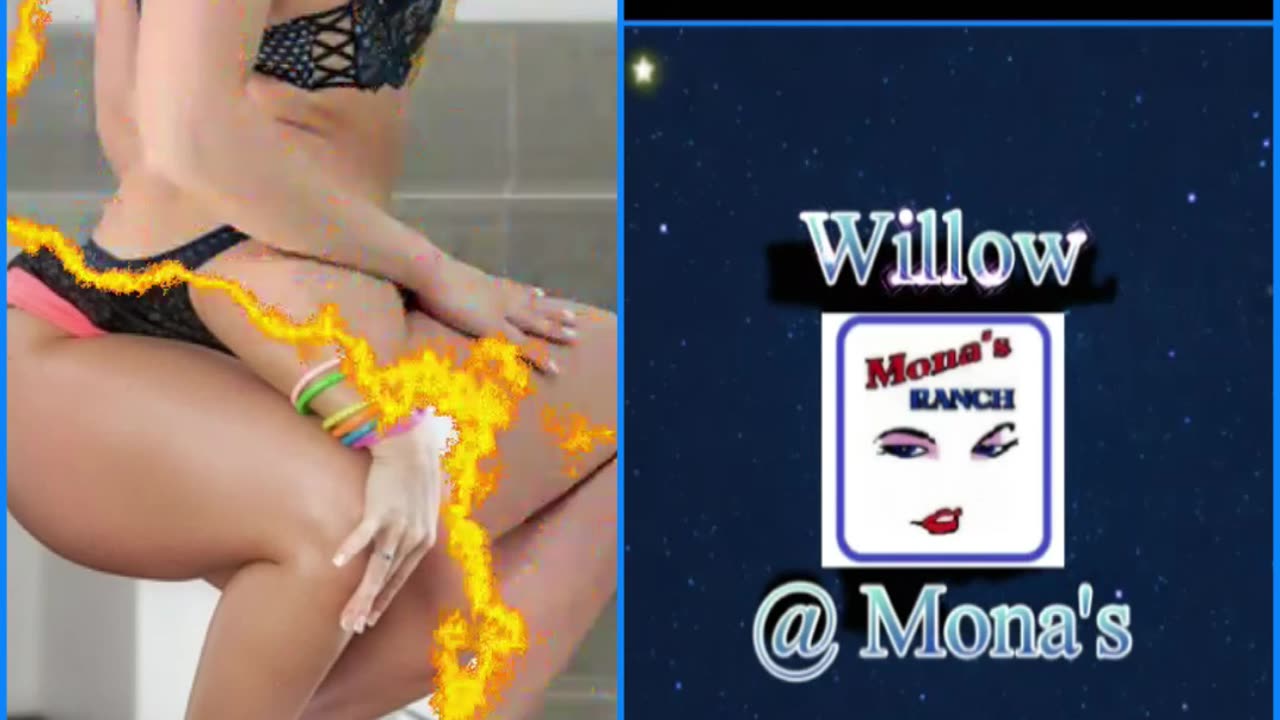 Willow @ Monas