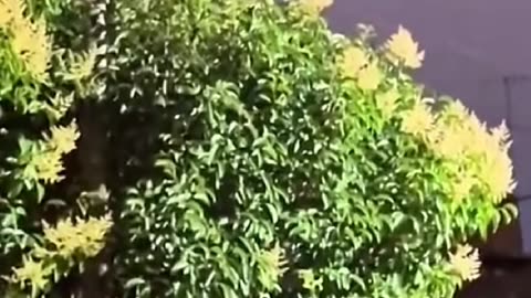 👽🚀 UFO / Drone Sighting in Buenos Aires, Argentina - What's the Explanation? | TheTruthAbove