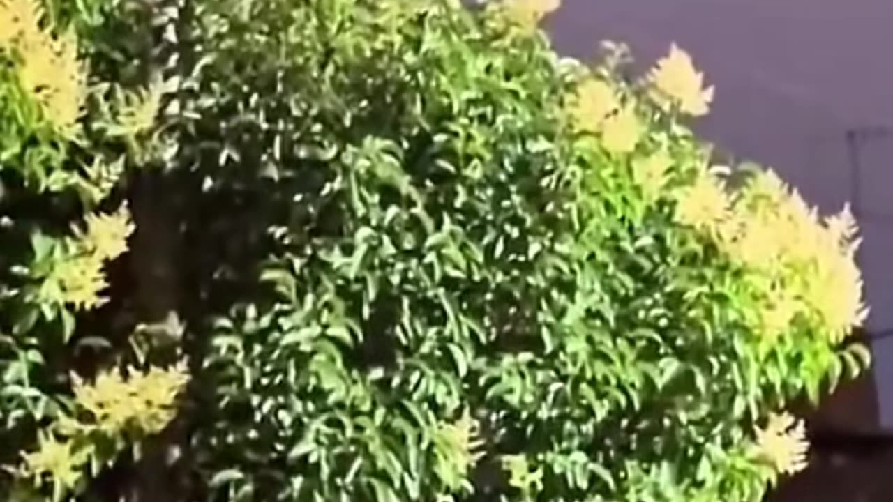 👽🚀 UFO / Drone Sighting in Buenos Aires, Argentina - What's the Explanation? | TheTruthAbove