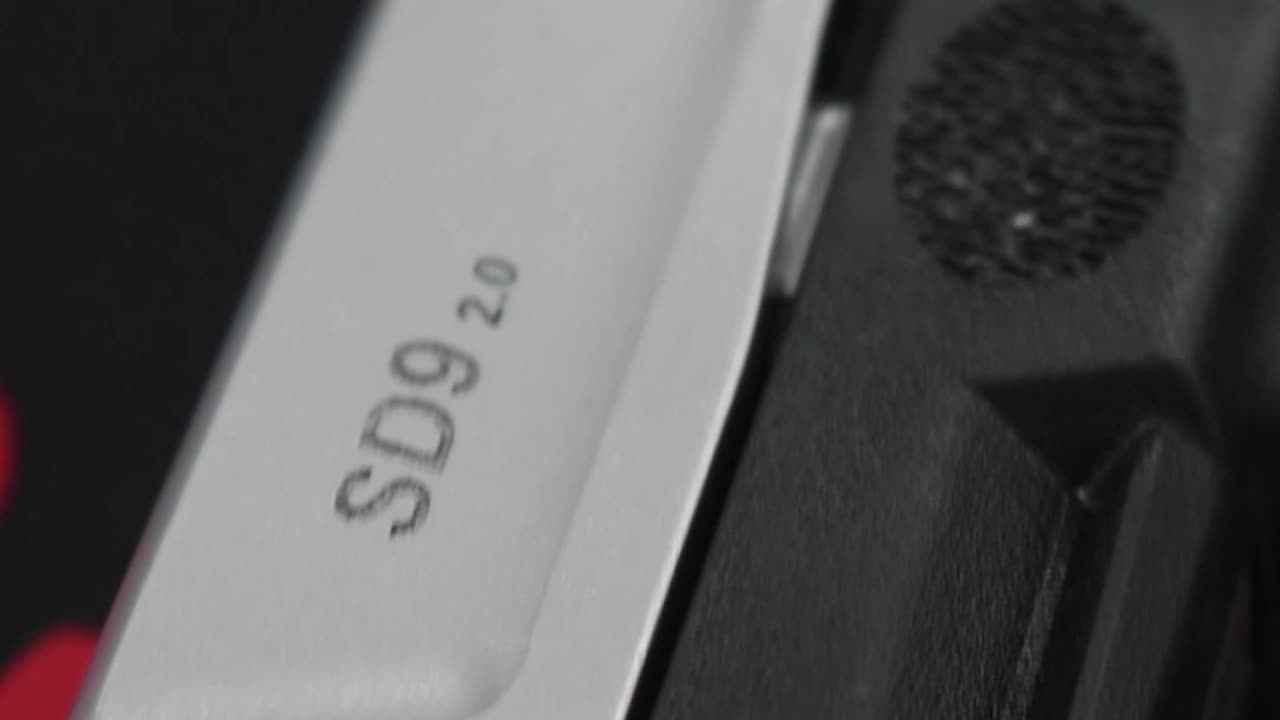 Smith & Wesson SD9 2.0 | The Cheaper Alternative