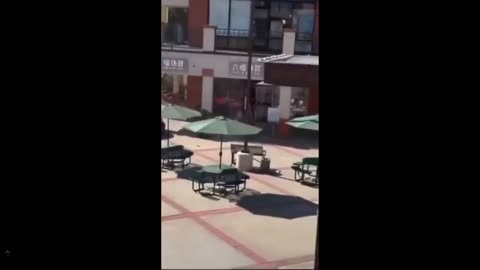 Another organized theft in San Francisco - then they wonder why all biz is closing