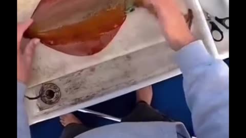 "Try Not to Laugh! Funniest Fails Compilation 2025"