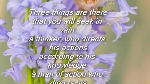 Three things