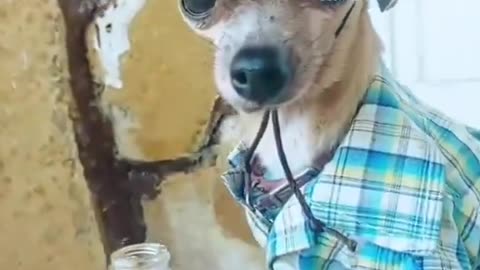Ready For The Weekend