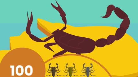 How Dangerous Is Australia Really? Scorpions